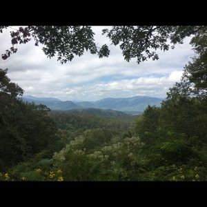 Meet your Posher, Calvin